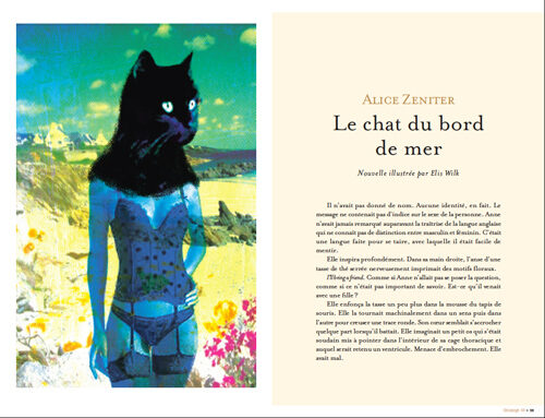 Illustration for the french literary  review Décapage