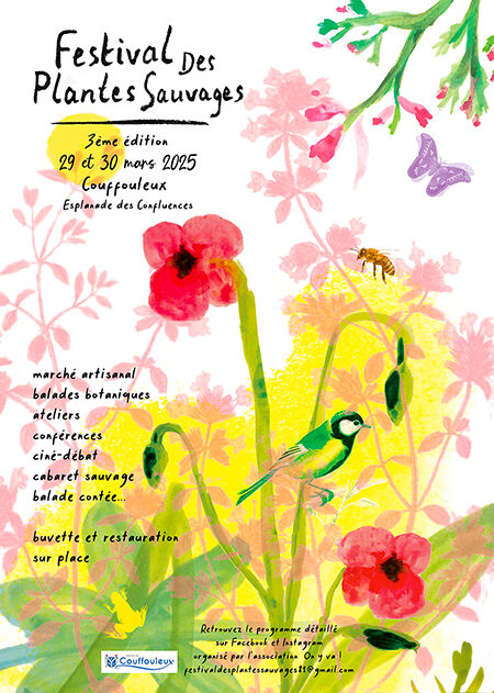 Design & Illustration